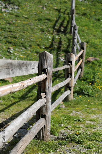 Wooden fence
