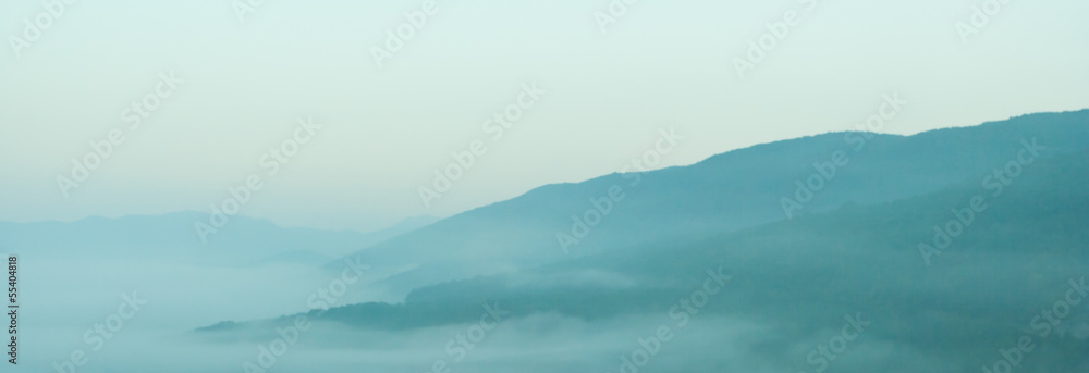 foggy landscape