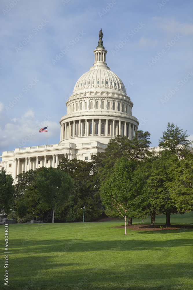 United States Capitol building in Washington DC