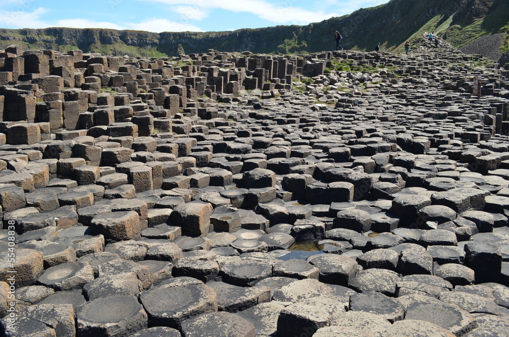 Fototapeta premium Giant's Causeway - Northern Ireland . hexagon stone