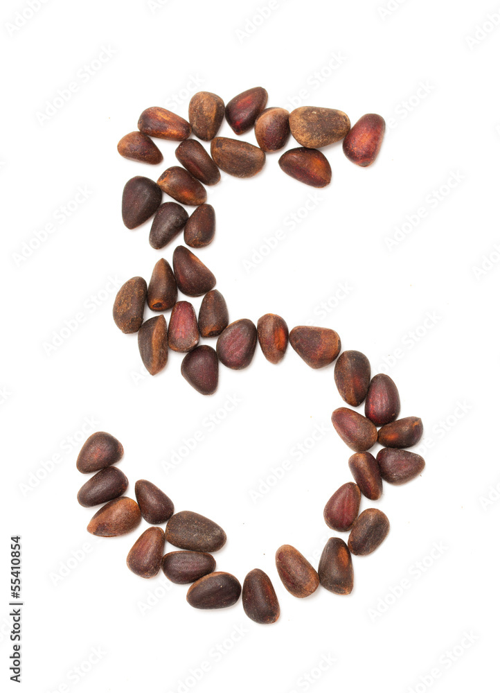 number five of the pine nuts on a white background number five of the pine nuts on a white background