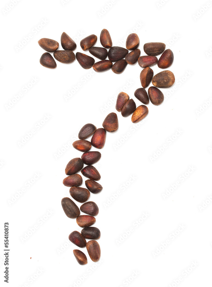 number seven of the pine nuts on a white background number seven of the pine nuts on a white background