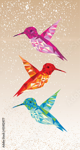 Colorful humming birds illustration.