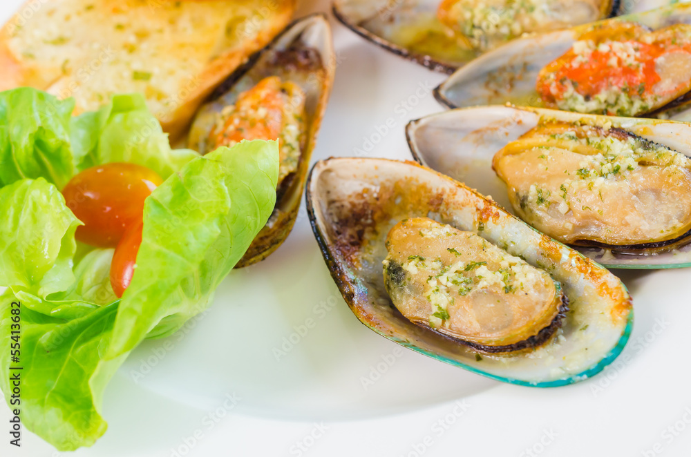Mussel Mussel