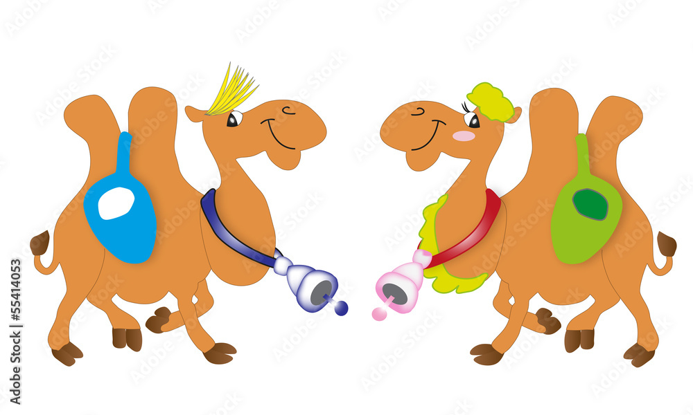 Fototapeta premium camel