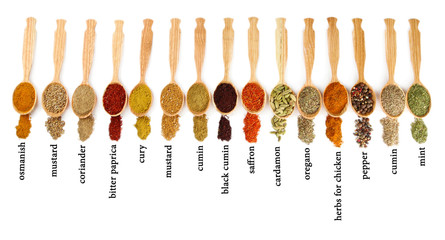 Fototapete Gewürze Many different spices with their name in wooden spoons isolated  © Africa Studio