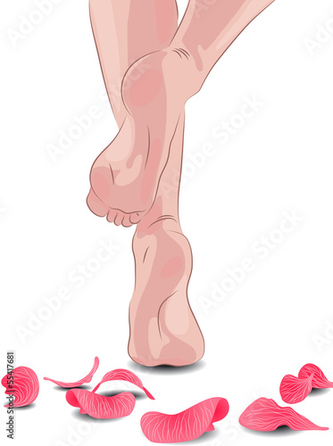 Female feet and petals, vector illustration