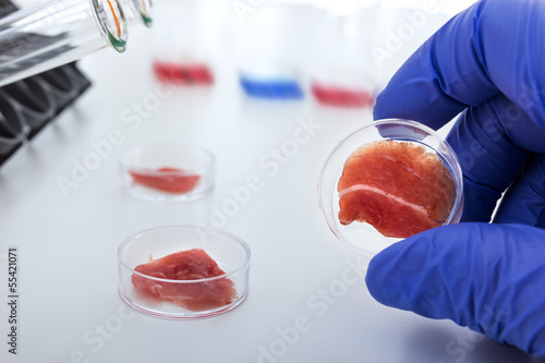 Foto Meat cultured in laboratory conditions from stem cells