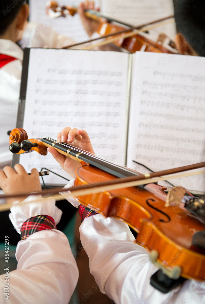 Naklejka premium playing the violin