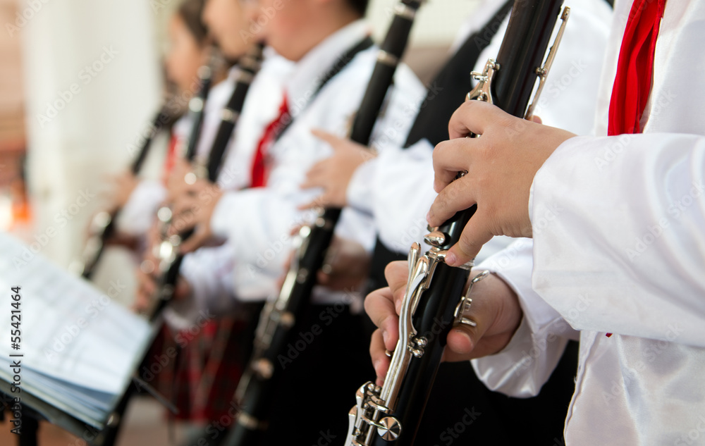Fototapeta premium playing the clarinet