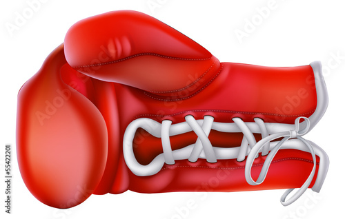 Boxing Glove