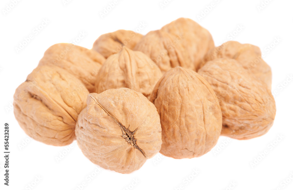 heap of walnuts isolated on a white background heap of walnuts isolated on a white background