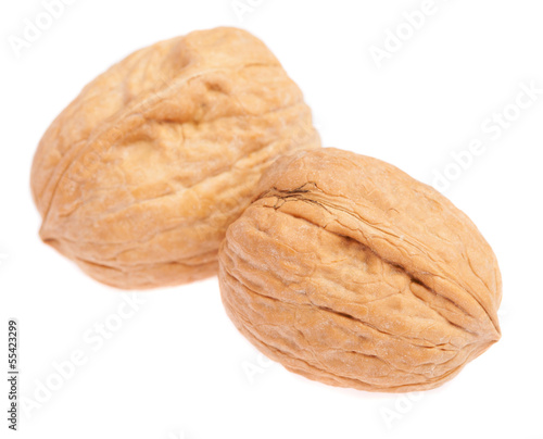pair of walnuts isolated on a white background