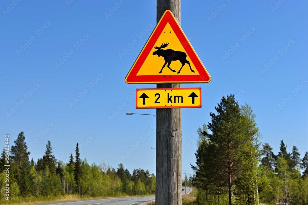 Elch Warnschild in Skandinavien Elch Warnschild in Skandinavien