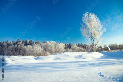 winter rural landscape