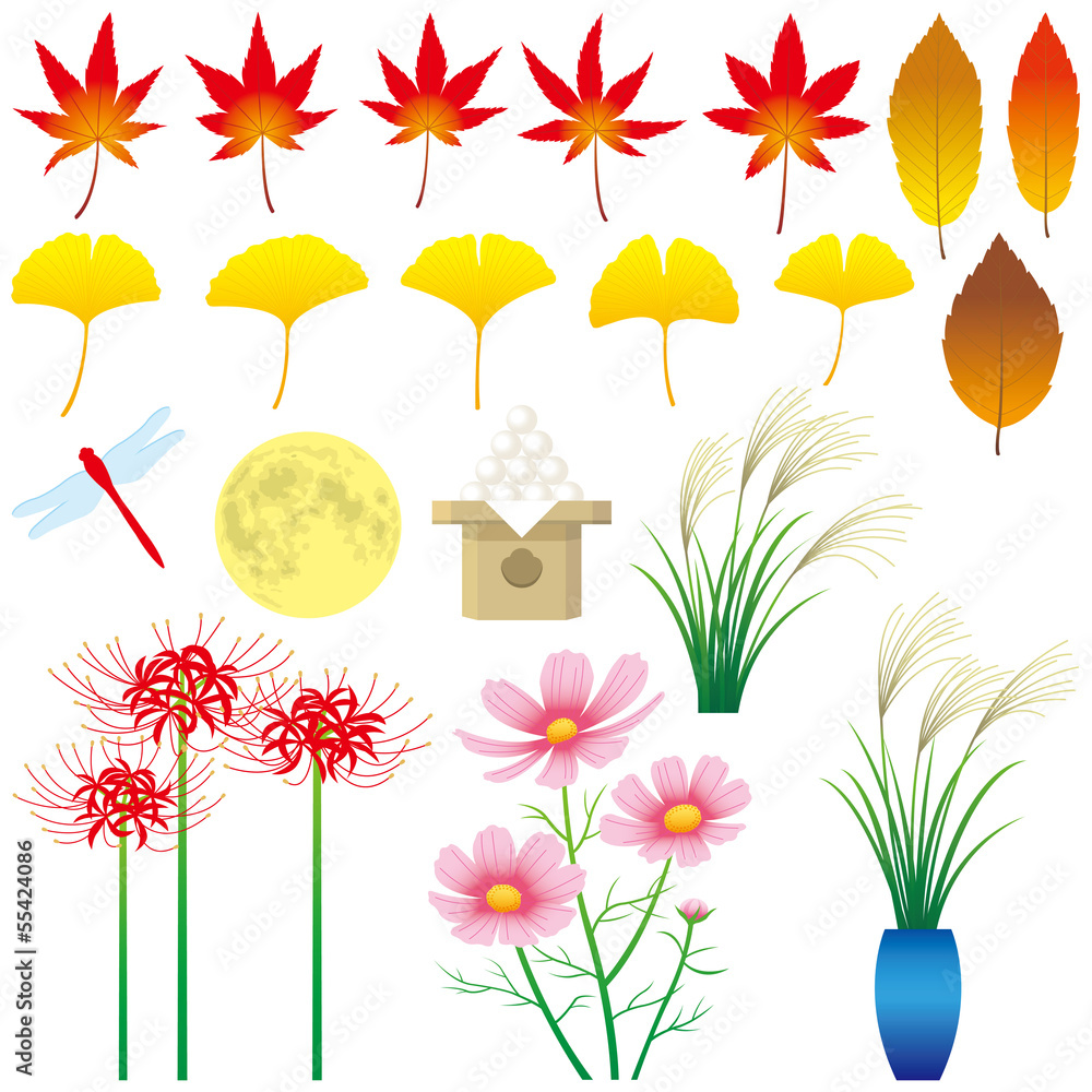 Fototapeta premium 秋の素材