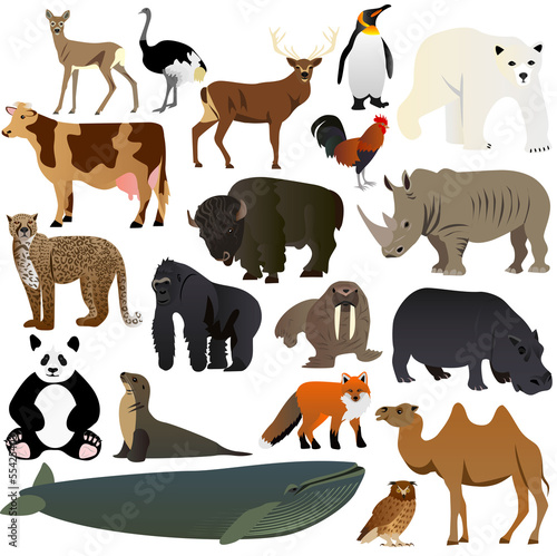 Animals 1