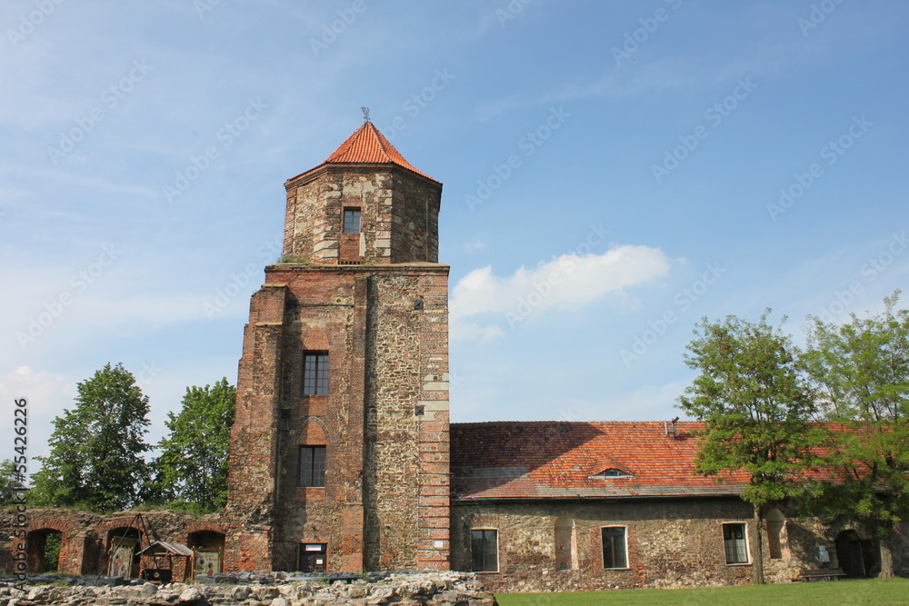 Toszek  - zamek - wieża