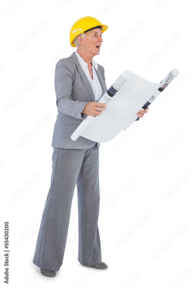 Architect with plan wearing hardhat Architect with plan wearing hardhat