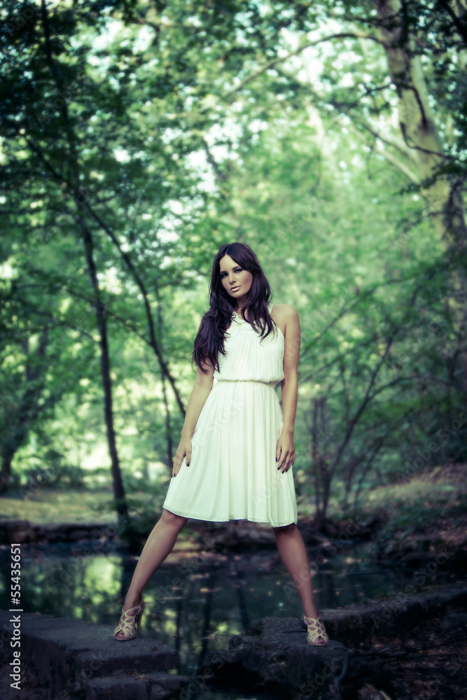 fashion in the wood fashion in the wood
