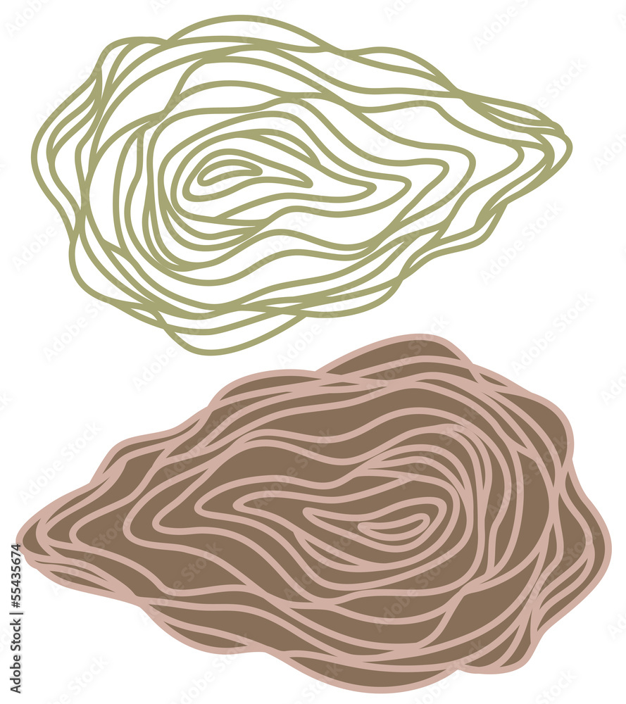 Obraz premium Oyster