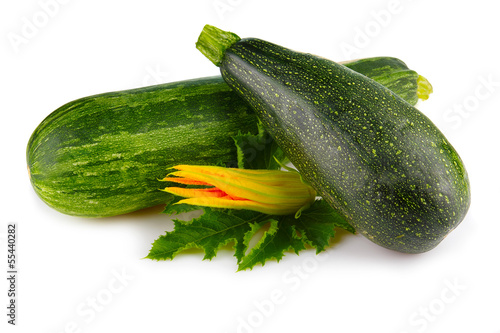 Green marrow vegetables with blossom and leaves isolated