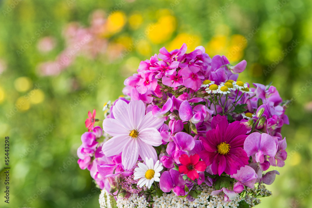 Obraz premium Sommerblumen