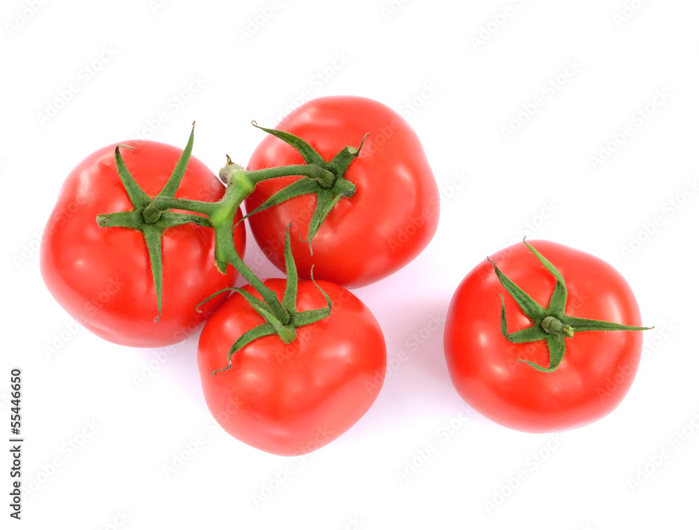 fresh tomatoes with green leaves isolated on white background fresh tomatoes with green leaves isolated on white background