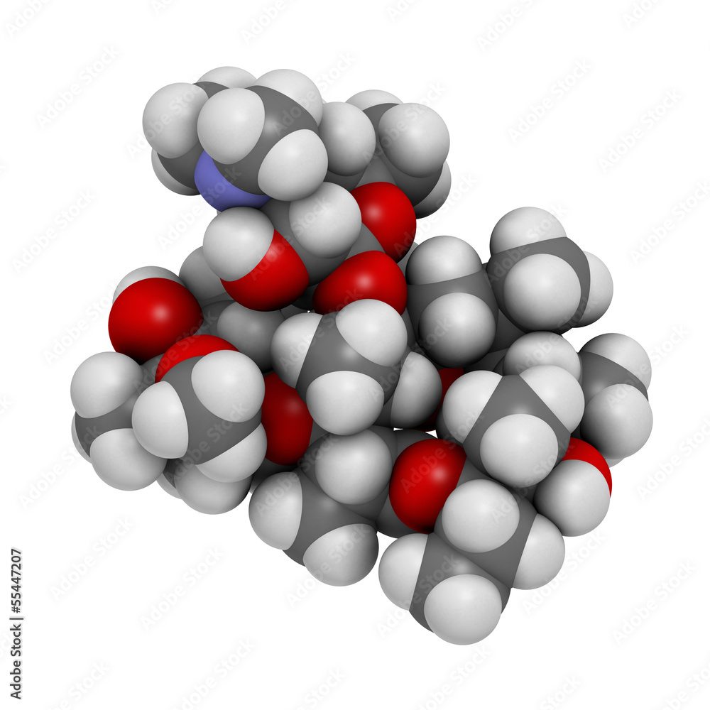 Erythromycin antibiotic drug (macrolide class) Erythromycin antibiotic drug (macrolide class)