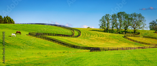 Fotografia, Obraz Horse farm fences