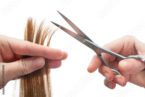 hands of hairdresser cutting woman’s hair