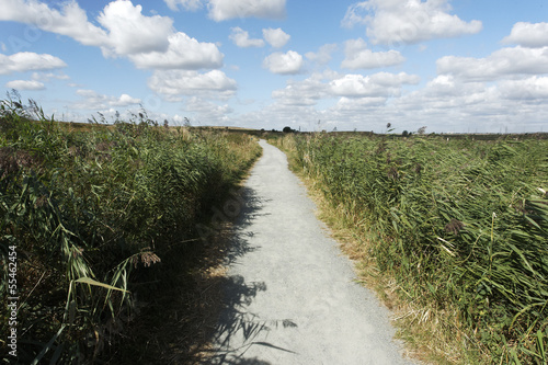 Rainham Marshes RSPB Reserve