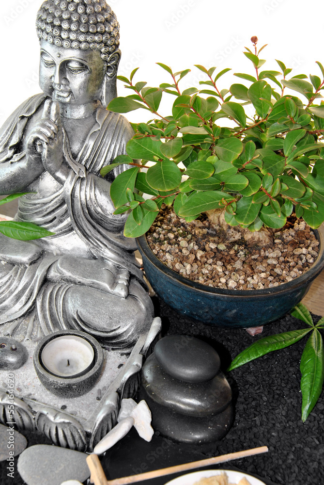 Fototapeta premium buddha statue