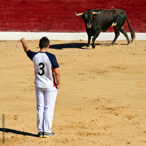 Concurso Taurino De Recortes En España