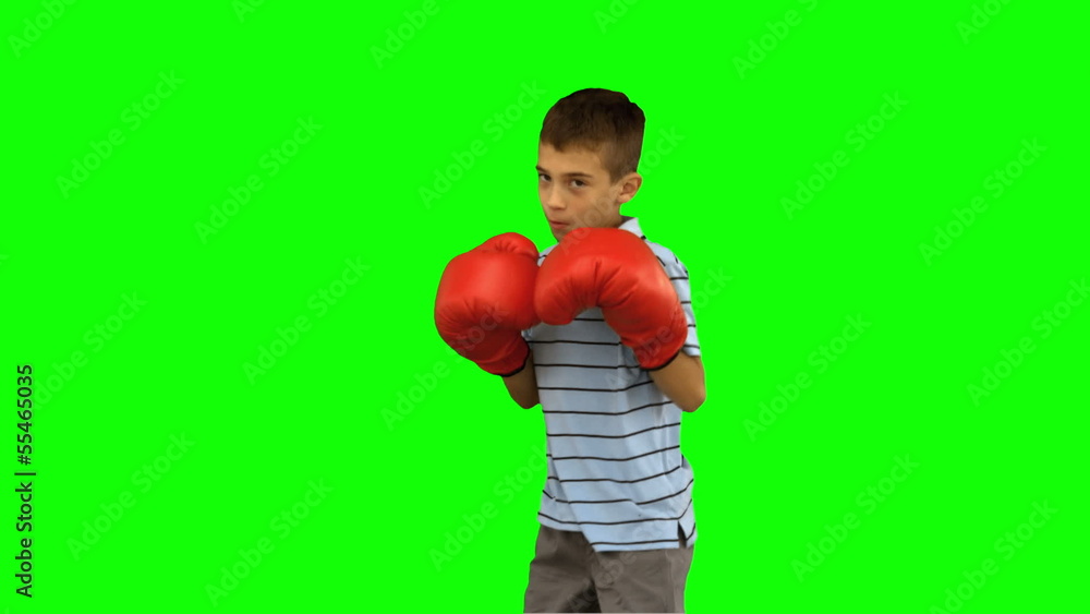 Little boy with boxing gloves boxing on green screen Little boy with boxing gloves boxing on green screen