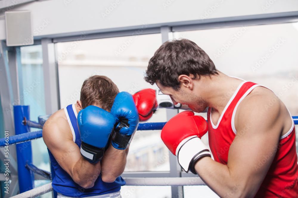 Two men boxing. Two boxers fighting on the boxing ring