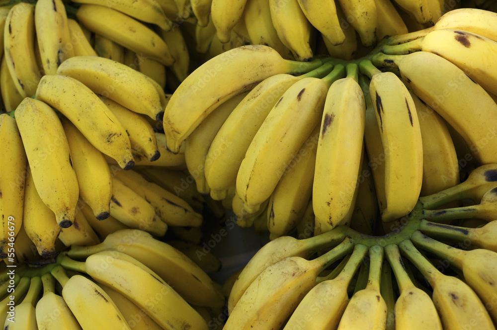 Ripe Yellow Banana Bunches at Farmers Market