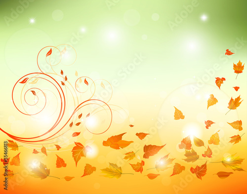 Autumn background with leaves