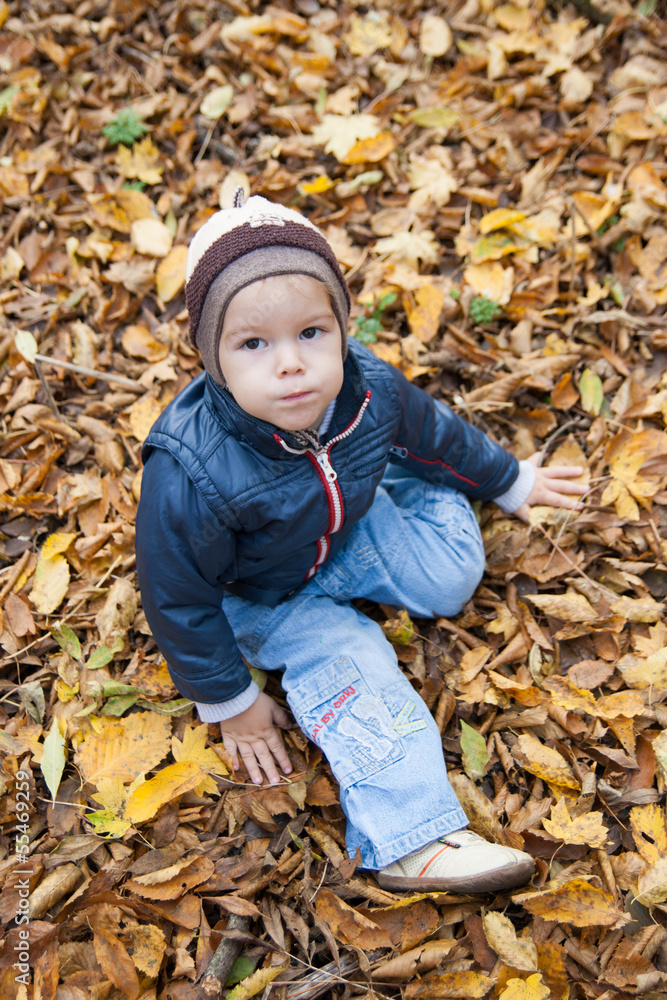 Little boy sitting on yellow autumn foliage, park. Little boy sitting on yellow autumn foliage, park.