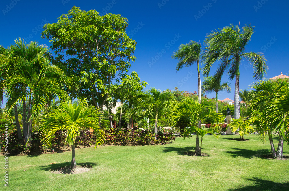 Garden Garden