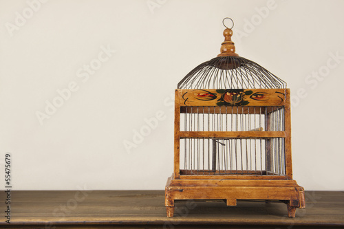 bird cage on wooden shelf
