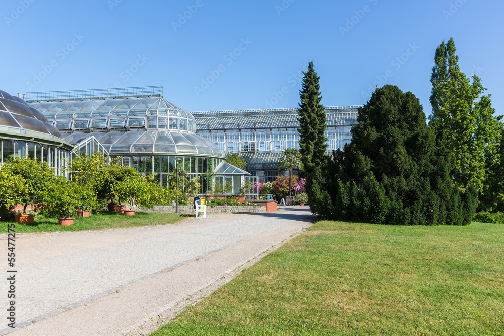 Fototapeta premium Big greenhouse in the botanical garden of Berlin