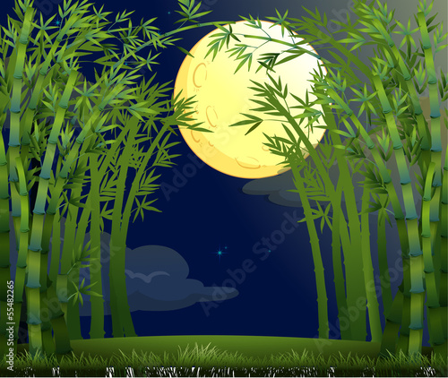 A rainforest under the bright moon