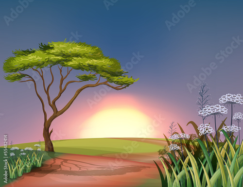 A sunset at the hilltop