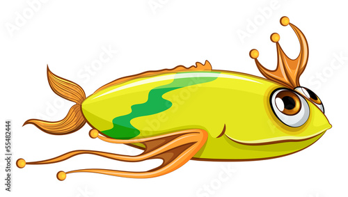 A colorful big fish