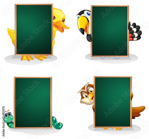 Empty green boards with animals at the back