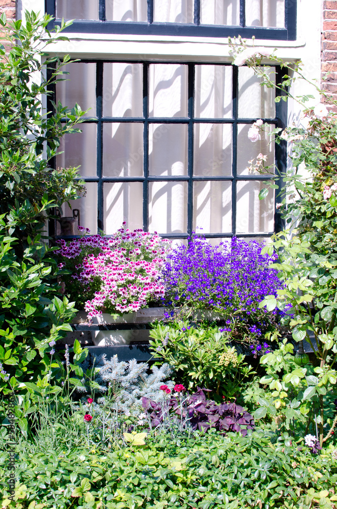 Blumen vor dem Fenster Blumen vor dem Fenster