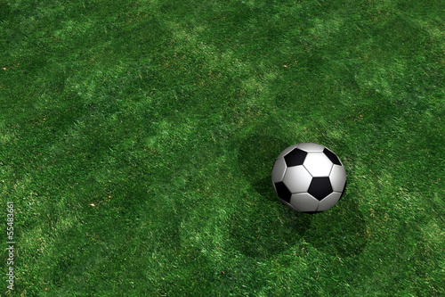 Fussball auf grünem Rasen © saxlerb