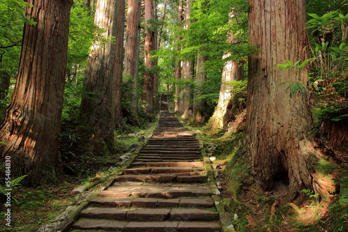 羽黒山参道杉並木 photo