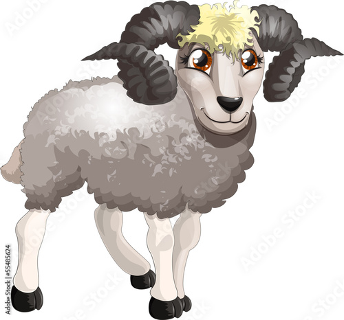 ram